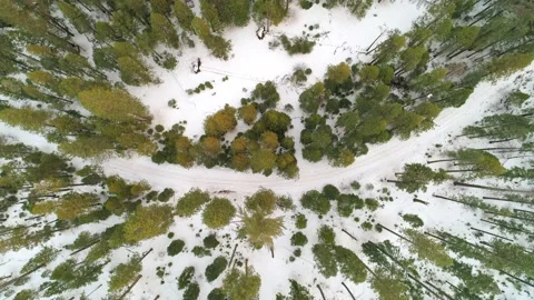 Birds eye Aerial looking down at snowy forest with trees and campgrounds below. 库存影片 148720122