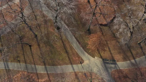 Birds-eye cinematic view of an empty park during fall:winter; 4k; aerial Stock Footage 131521808