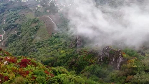 Bird’s-Eye Drone Flight Over Foggy Rainforest in 4K Stock Footage 339000580
