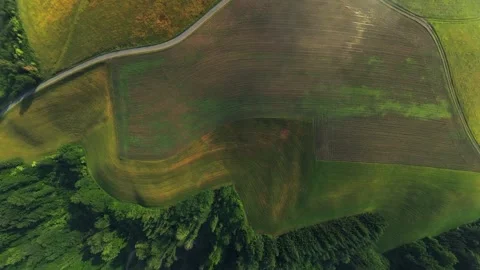 Bird's Eye Drone View over Mühlviertel Fields and Rural Village Austria Vidéo 345022270