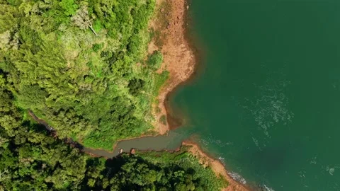 Birds eye drone view of vibrant Paraná River and jungle in Argentina. Stock Footage 318199537