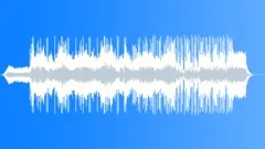 A bird's-eyeStock Music
