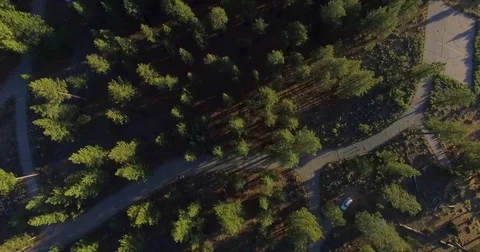 Bird's Eye Over the Meadow Stock Footage 77697957