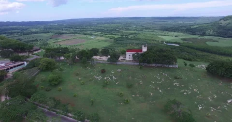 Bird's-eye panoramic view from drone to landscape of forests, extensive field Stock-Footage 68076700