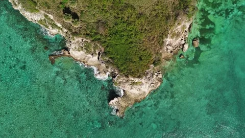 Bird's-eye perspective captures cliff covered in green foliage, turquoise sea Stock-Footage 272160636