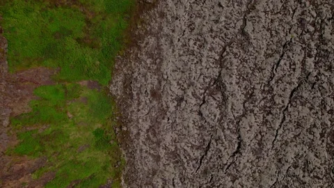Birds eye shot looking down at lava rock field in Iceland with green grass. 库存影片 157196186