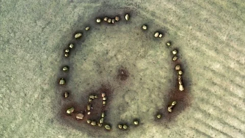 Birds eye top down view of Castlerigg Stone Circle in the Lake District, UK. Stock Footage 170334225