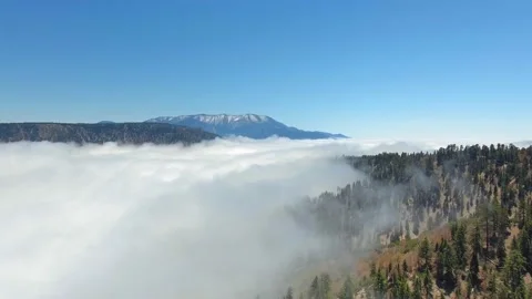 Bird's eye view above the clouds of the forest in California, USA Video stock 138643148