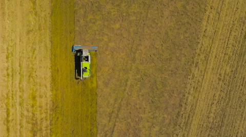 Birds-eye view aerial drone footage of a combine harvester in slow motion Stock-Footage 59864652