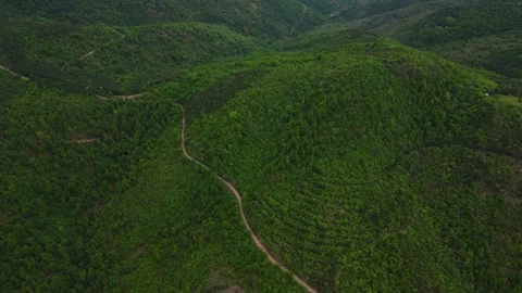Birds eye view aerial orbit shot over green mountain hills and dirt road Serbia Stock Footage 342240772