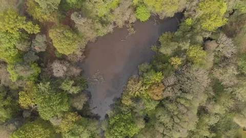 Bird's Eye View Aerial Rotating Over Muddy Polluted Pond In Spring Trees Cine D Stock Footage
