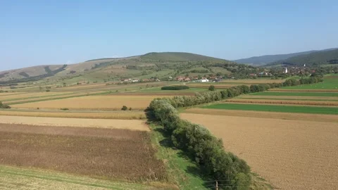 Bird's eye view of agricultural fields, agronomic industry. Aerial drone view Stock Footage 252062757