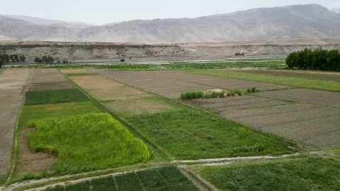 Bird's-eye View of Agricultural Fields Stock Footage 274530784