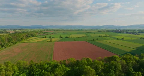Bird's Eye View of Agricultural Fields Stock Footage 274914540