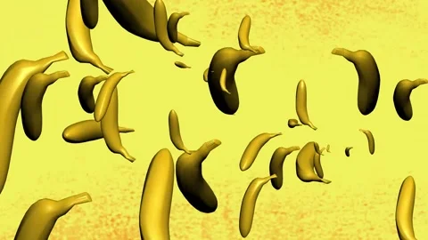 A birds-eye view of banane Stock-Footage 242741172