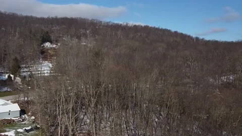A Birds Eye View of Bare Trees and Patchy Snow Stock Footage 158690283