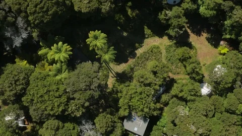 Birds eye view of a campsite surrounded by green trees in New Zealand Stock Footage 89892201