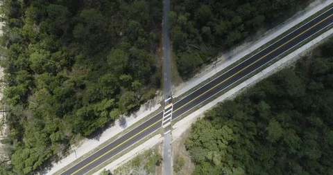 Birds eye view of cyclist on cycle path in wooded area drone aerial 4K Stock Footage 111418282