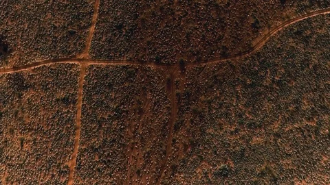 Birds eye view in the desert Stock Footage 123003540