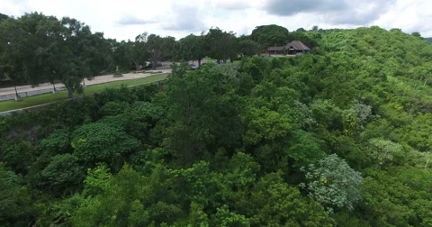 Bird's-eye view from drone to landscape of mountains with dense green Stock Footage 68076209