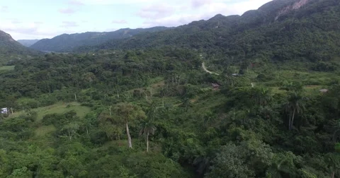 Bird's-eye view from drone to mountains in a center of tropical jungle at summer 스톡 동영상 67999645