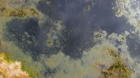 Birds Eye View Of Drone Over Wetland, Peat Bog, 4K 動画素材 220082982