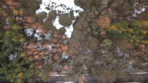 Birds eye view drone shot of a forest with some snow on the ground. Stock Footage 155326510