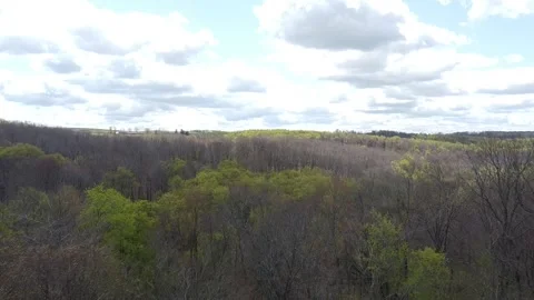 A Birds Eye View of Early Spring with the Trees Starting to Obtain Leaves Vidéo 241249896