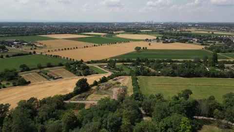 Bird's-eye view of the fields in Germany in the Schwetzingen area Stock Footage 335160157