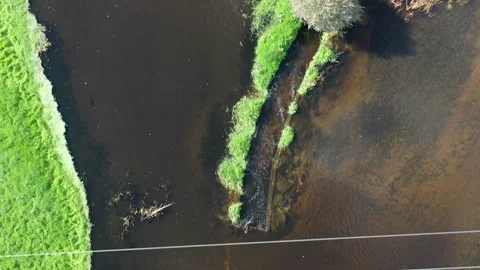 Bird's eye view flight over the course of a river Stock-Footage 245812548