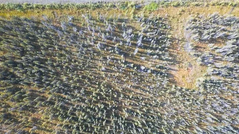 Bird's eye view flying over Alaska wilderness revealing HARRP Research Stock Footage 115486041