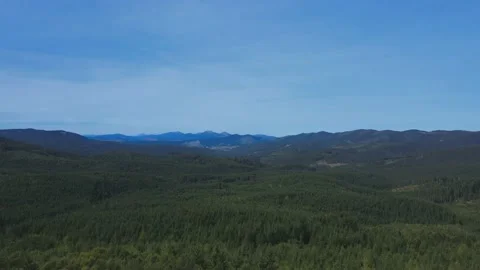 Birds eye view flying over mountainous forest area at Carpathian mountains Stock Footage 140274518
