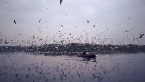 Bird's eye view Video stock 243147422