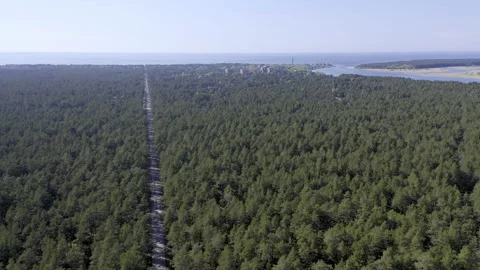 Bird's-eye view of the forest road to the coast in Narva Yuesuu. Stock Footage 224146499