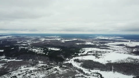 Bird's-eye view of forest in winter Stock Footage 109009474
