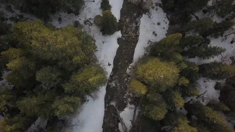Birds eye view of the forest in winter time 스톡 동영상 123392399