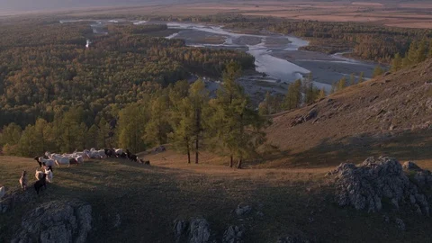 Bird's-eye view of a herd of mountain goats, with a mountain landscape Stock Footage 123111138