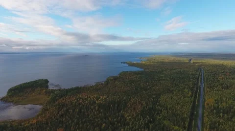 Bird's-eye view of the Lake and forest Stock Footage 68309431