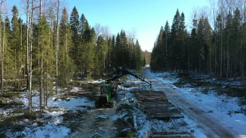 Bird's-eye view of logging equipment in the winter forest. Logging. Stock Footage 197661308
