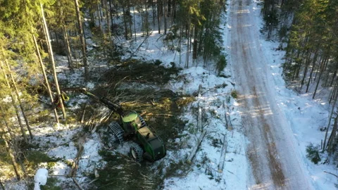 Bird's-eye view of logging equipment in the winter forest. Logging. Stock Footage 197663207