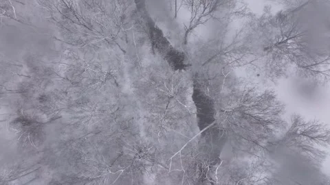 Birds eye view looking down at trees and a creek during a snowstorm in winter. Vídeo Stock 264993239