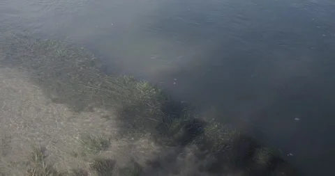Bird's eye view looking down into clear San Juan River water in morning light Stock Footage 336637551