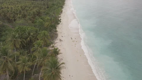 Birds Eye View of Mandel Beach Banggai Tranquil Coastline I D Log M LOG Format Stock Footage 317393019
