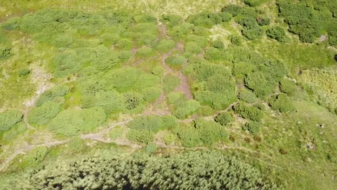 Bird’s eye view of mountain lakes and green alpine valley Stock Footage 338104249