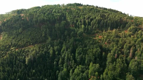 Bird's eye view of mountains Stock Footage 247336392