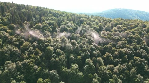 Bird's eye view of mountains Stock Footage 247338750