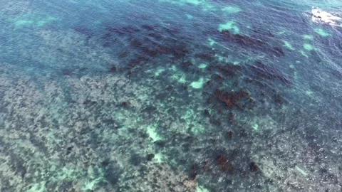 A bird's-eye view of the ocean Stock Footage 319907563