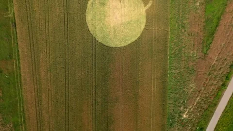 Bird's Eye View Over Crop Circle Formation In Wheat Field - Drone Shot Stock Footage 280755442