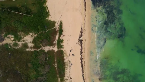 Birds Eye View Over Empty Playa Paraiso Beach. Aerial Dolly Left Stock Footage 229095967