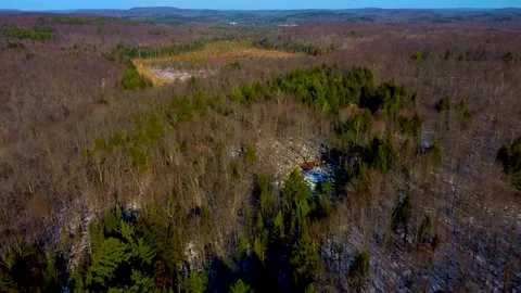 Birds eye view over fall forest flying over Video stock 224505815